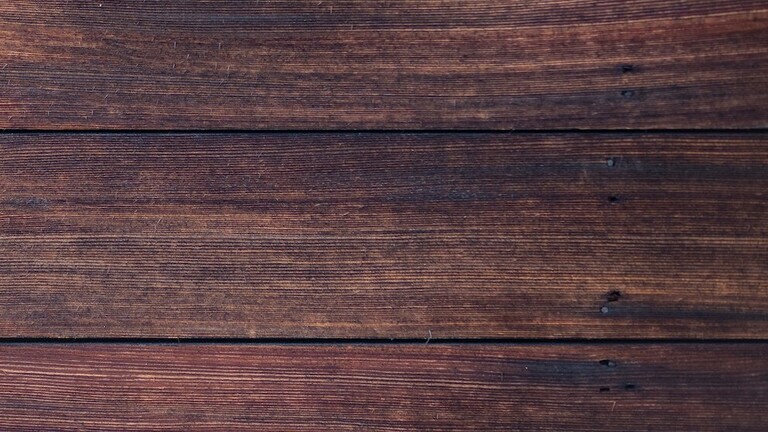 Raja Kayu (Königsbaum)